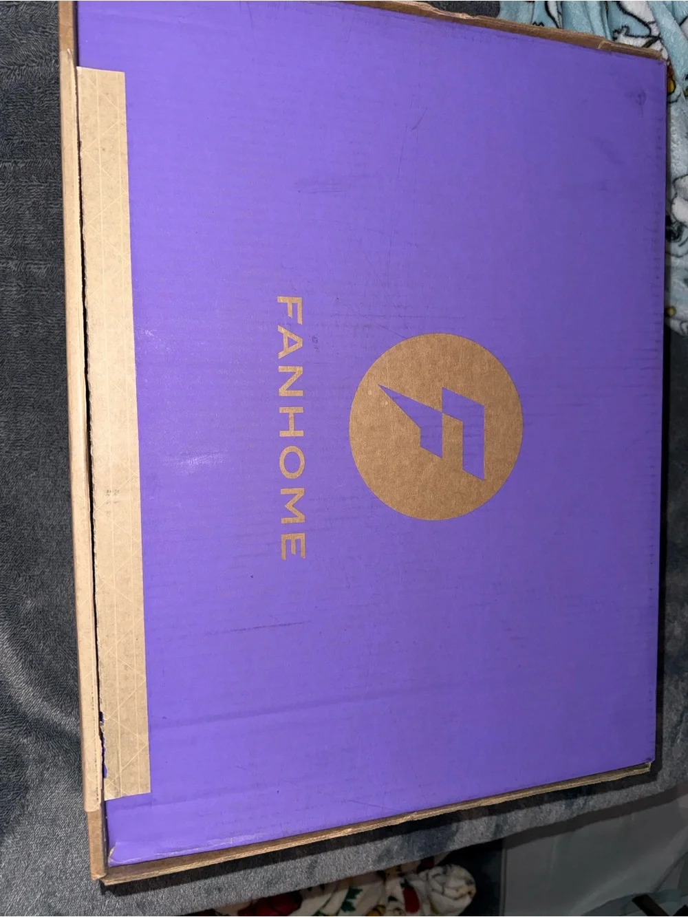 Snoopy Fanhome Collectible
